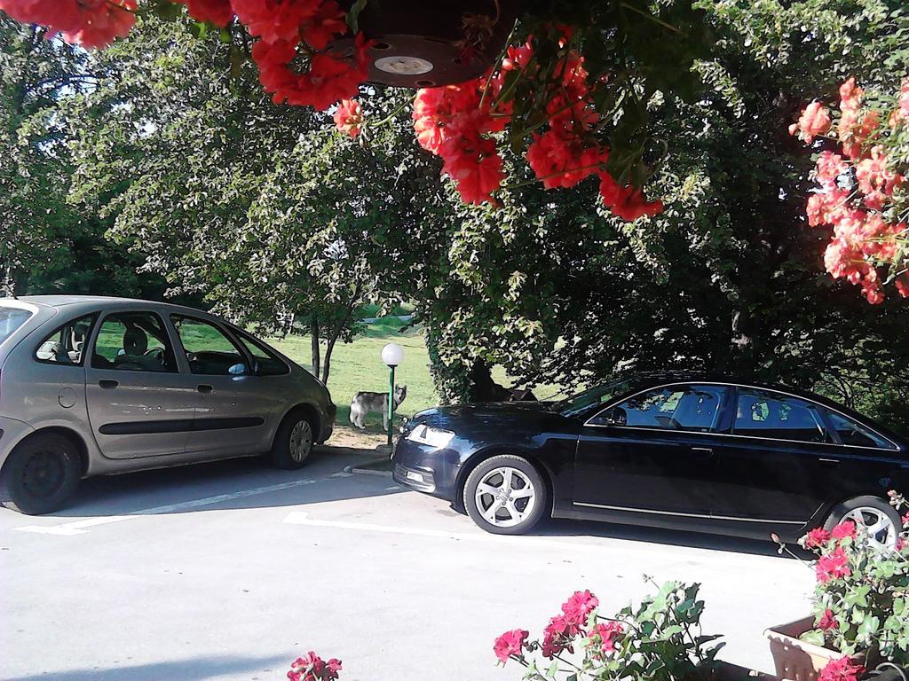 Apartman & Sobe Orhideja Smoljanac Δωμάτιο φωτογραφία
